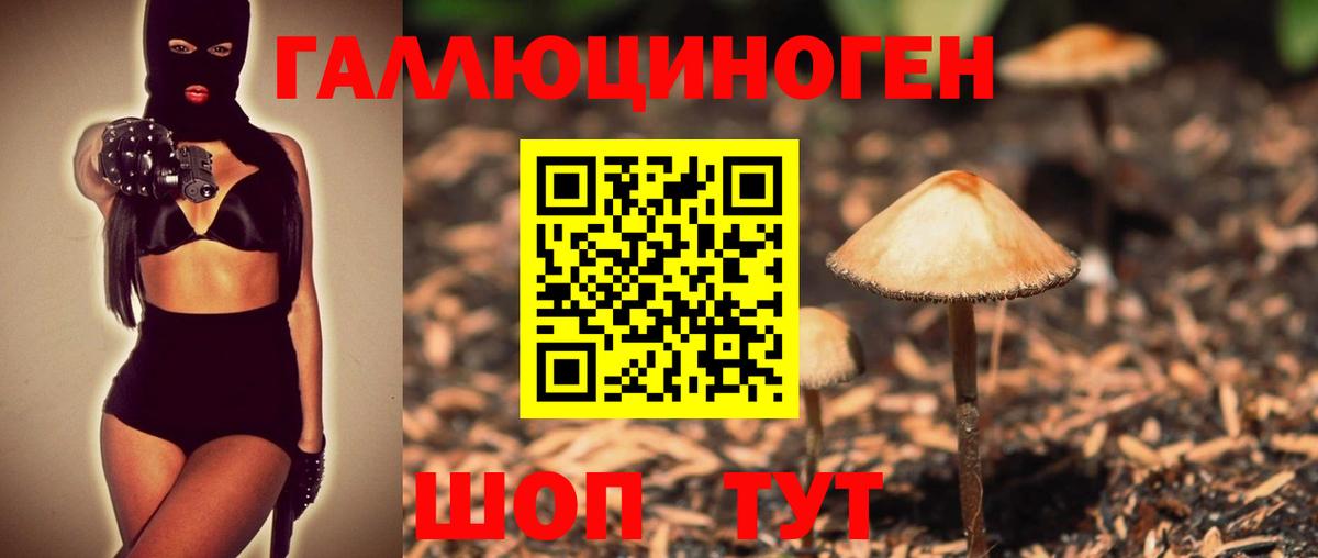 Галлюциногенные грибы Psilocybe Ишим